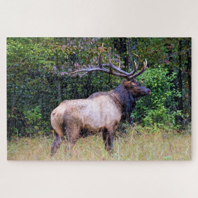 Hunting Season - Bull Elk - 20x30 inch Jigsaw Puzzle (Horizontal)