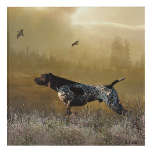 Hunting season , German shorthaired pointer Tapest Acrylic Print