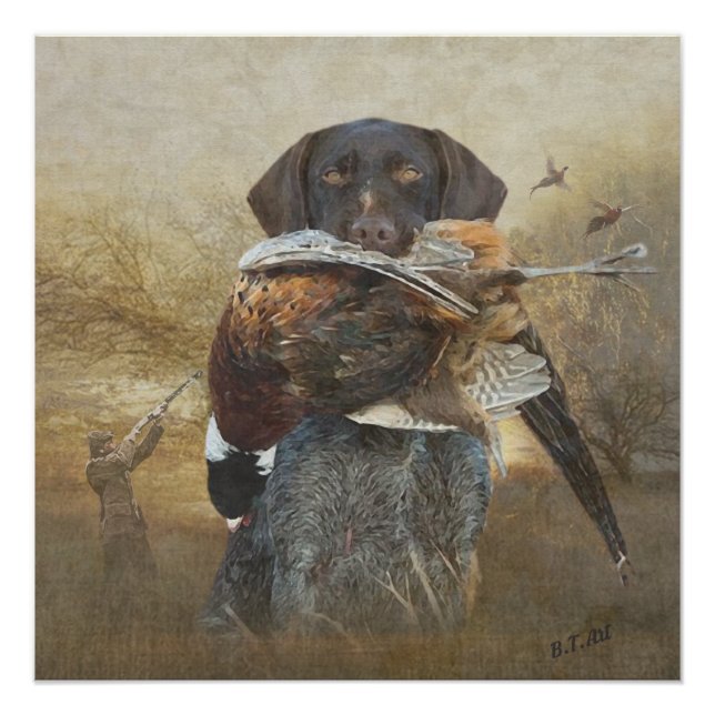 Hunting season , German Wirehaired Pointer  Tapest Poster (Front)