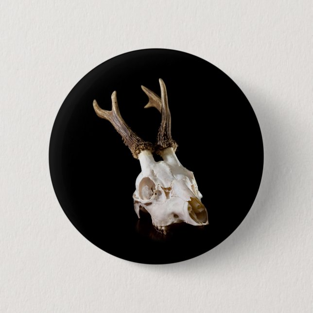 Hunting stories! pinback button (Front)