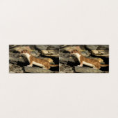 Hunting Weasel (Outside Unfolded)