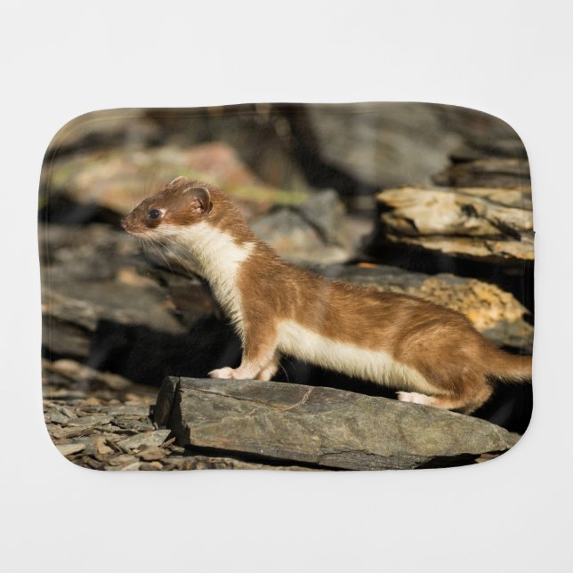 Hunting Weasel Baby Burp Cloth (Front Horizontal)