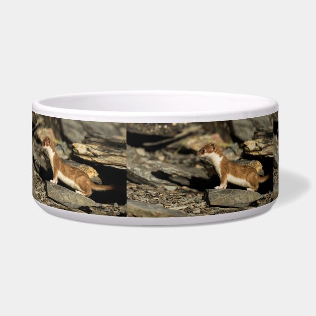 Hunting Weasel Bowl (Left)
