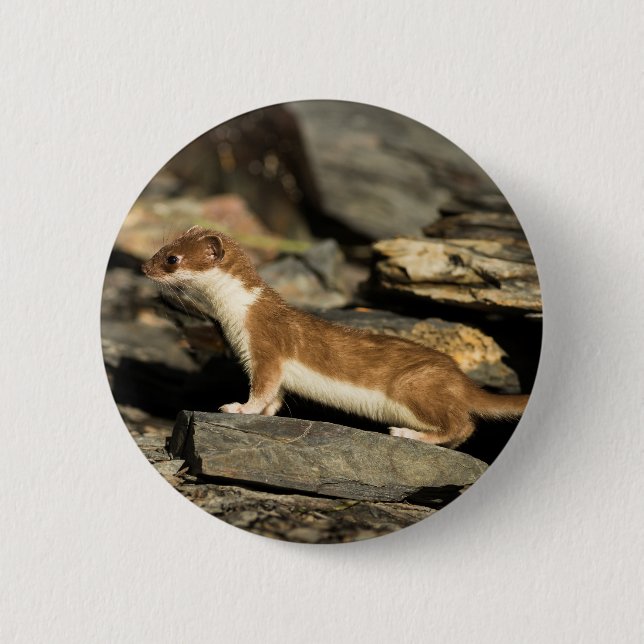 Hunting Weasel Button (Front)