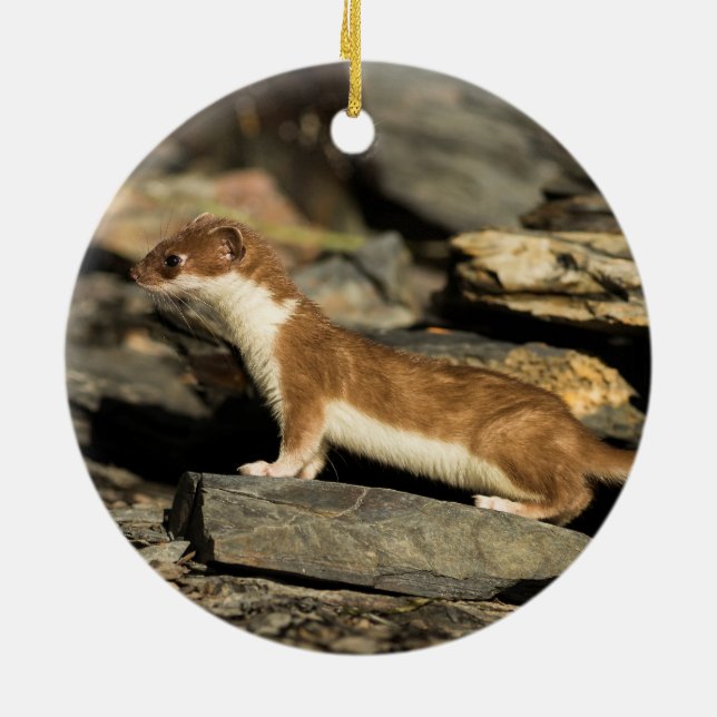 Hunting Weasel Ceramic Ornament (Back)
