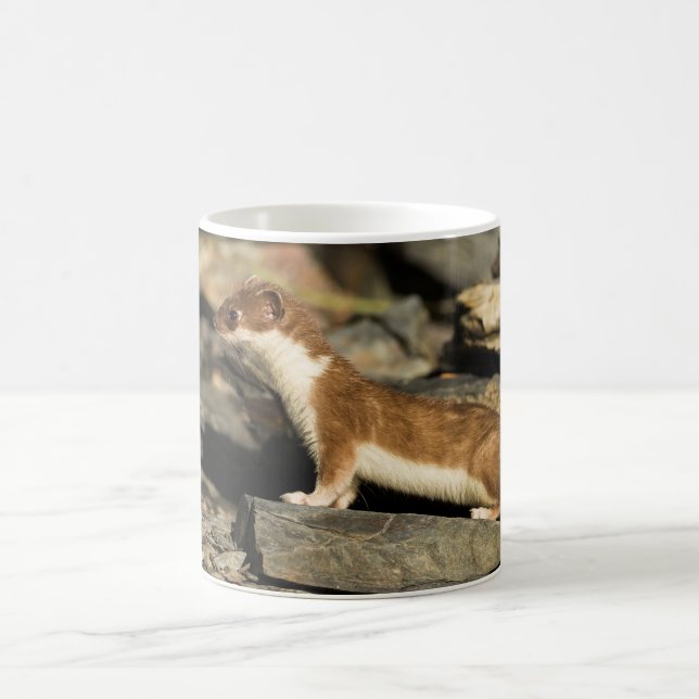 Hunting Weasel Coffee Mug (Center)