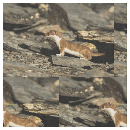 Hunting Weasel Fabric