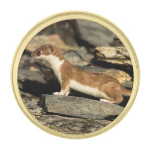 Hunting Weasel Gold Finish Lapel Pin