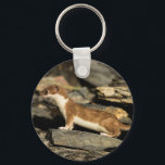 Hunting Weasel Keychain<br><div class="desc">Decorated with an image of a Short-Tailed Weasel (Mustela erminea),  also known as a Stoat,  hunting along the shoreline of Alaska's Prince William Sound. By Ted Raynor</div>