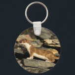 Hunting Weasel Keychain<br><div class="desc">Decorated with an image of a Short-Tailed Weasel (Mustela erminea),  also known as a Stoat,  hunting along the shoreline of Alaska's Prince William Sound. By Ted Raynor</div>
