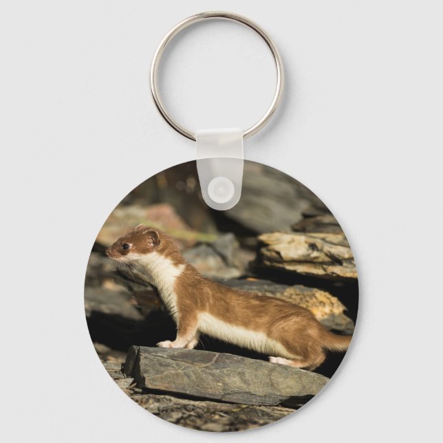 Hunting Weasel Keychain (Front)