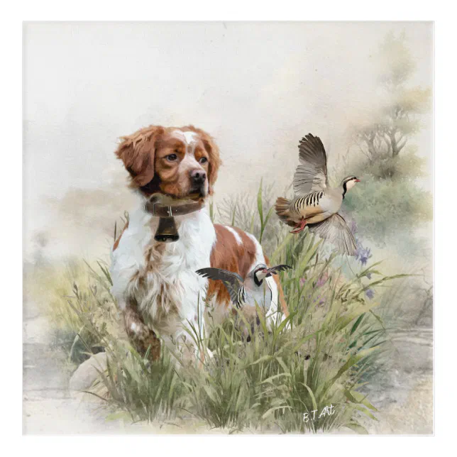 Hunting with a Brittany dog, Art Zazzle