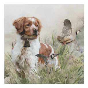 Hunting with a Brittany dog, Art Faux Canvas Print