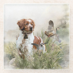 Hunting with a Brittany dog, Art Glass Coaster