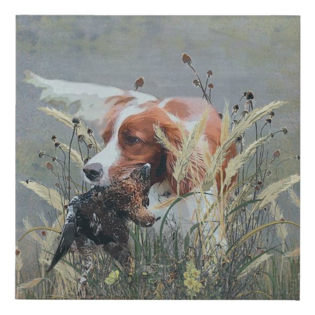 Hunting with Epagneul Breton  Faux Canvas Print (Front)