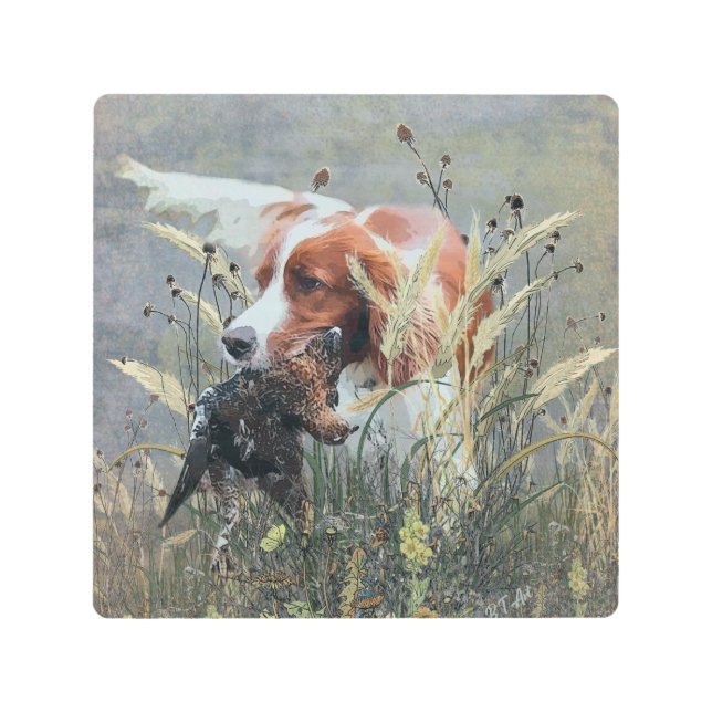 Hunting with Epagneul Breton  Metal Print (Front)