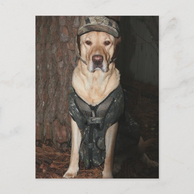 Hunting Yellow Lab Postcard (Front)