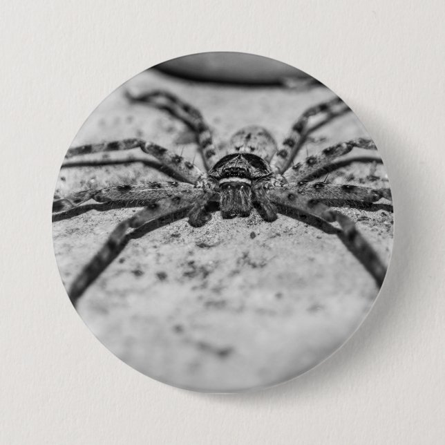 Huntsman Spider Button (Front)
