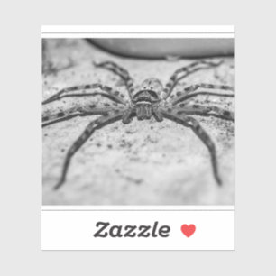 Huntsman Spider Sticker