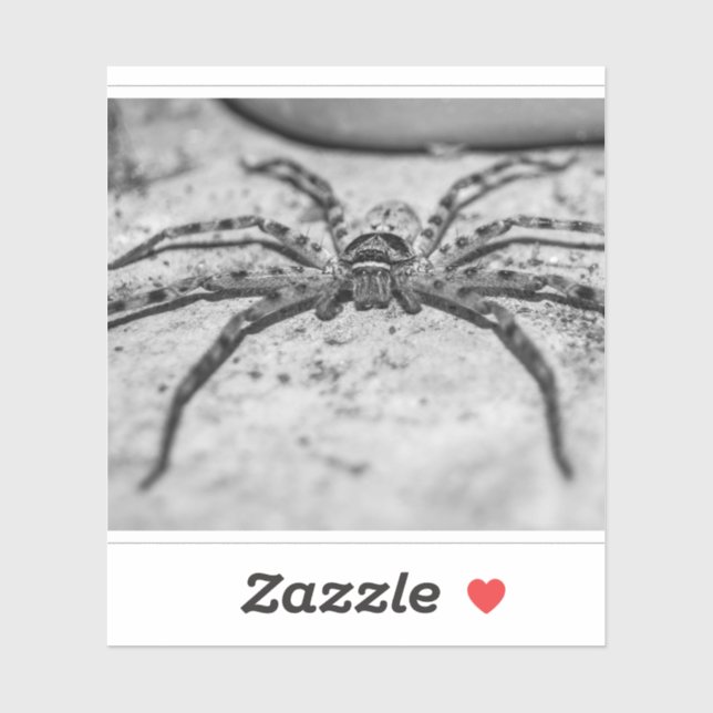 Huntsman Spider Sticker (Sheet)