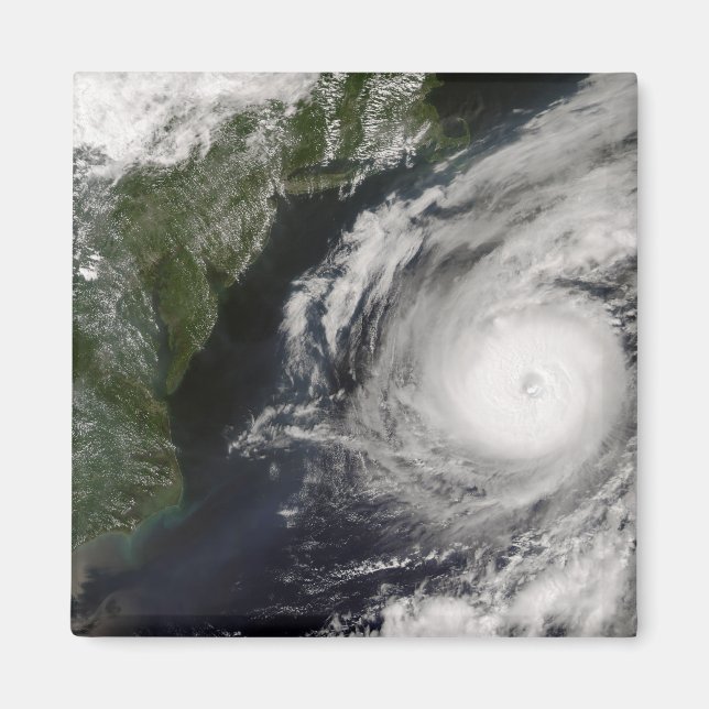 Hurricane Alex 2 Magnet (Front)