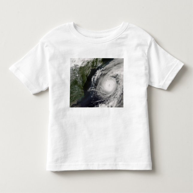 Hurricane Alex 2 Toddler T-shirt (Front)