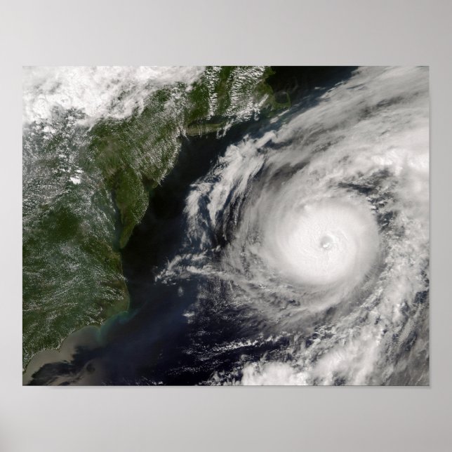 Hurricane Alex Poster (Front)