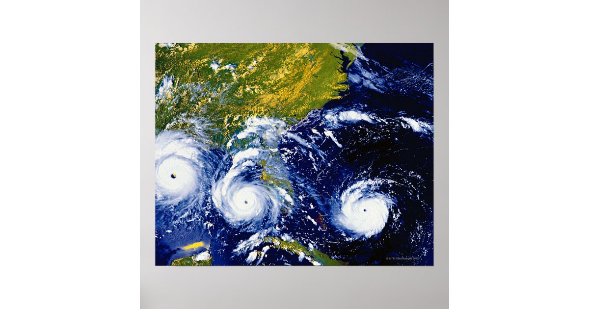 Hurricane Andrew Poster  Zazzle