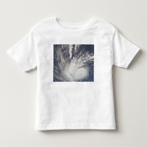 Hurricane Bertha Toddler T_shirt