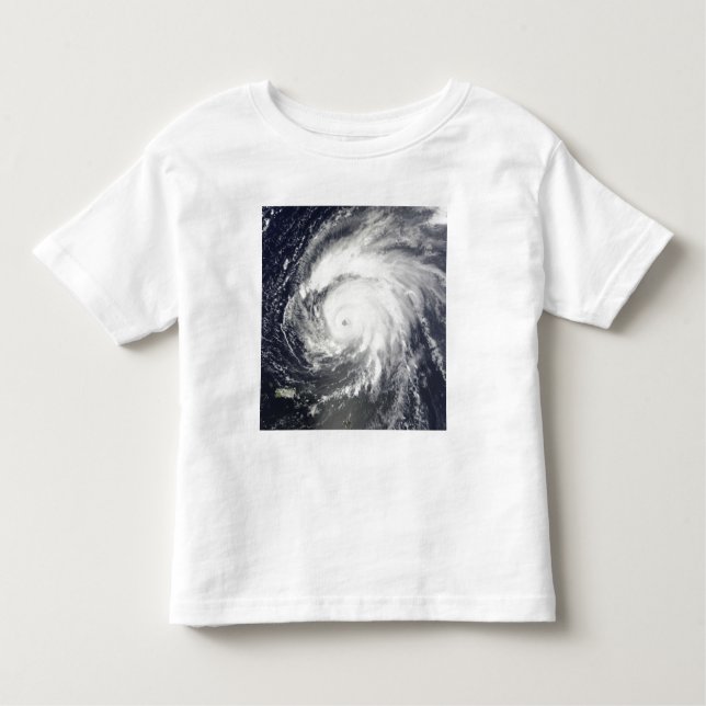 Hurricane Bill Toddler T-shirt (Front)