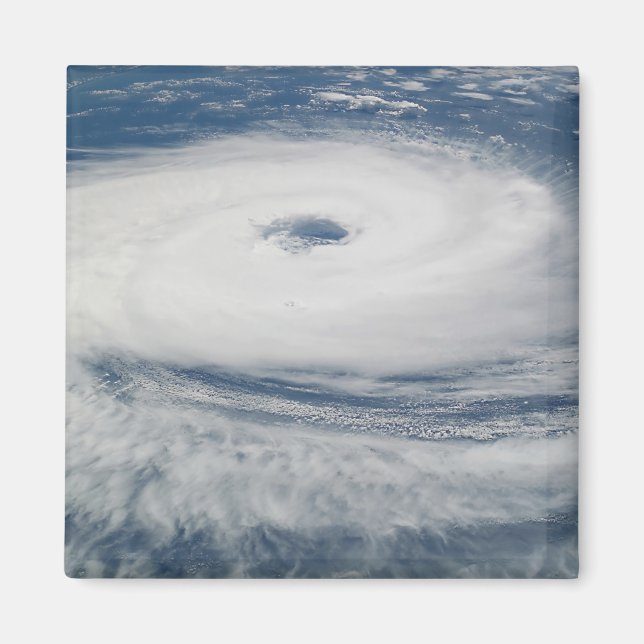 Hurricane Catarina Magnet (Front)