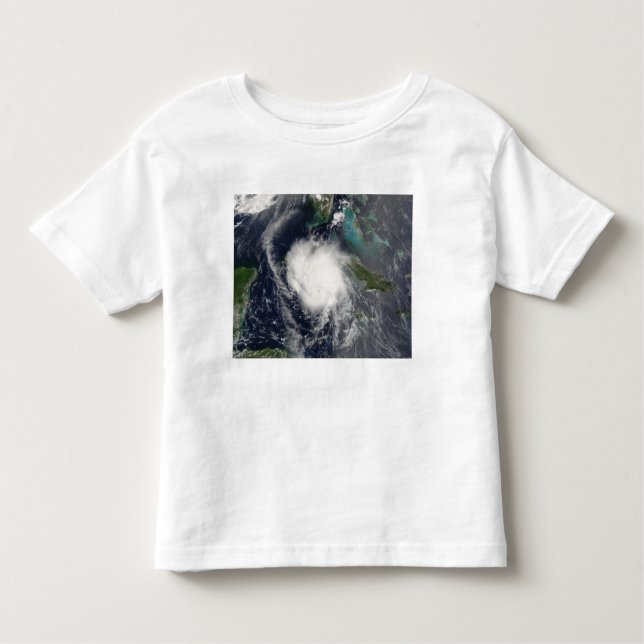 Hurricane Charley 2 Toddler T-shirt (Front)