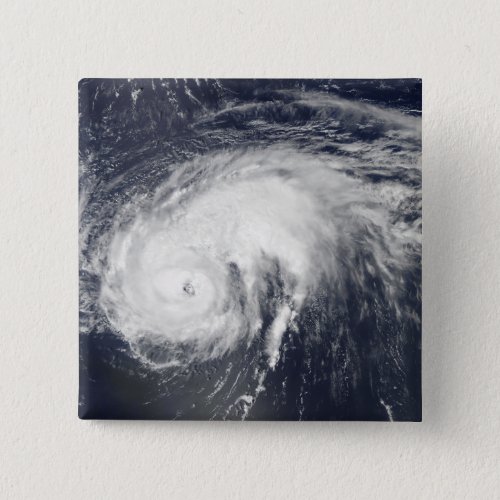 Hurricane Danielle Button