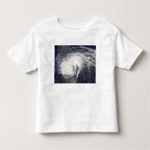 Hurricane Danielle Toddler T_shirt