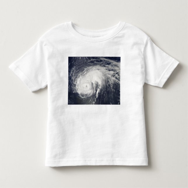 Hurricane Danielle Toddler T-shirt (Front)