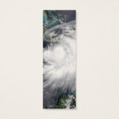 Hurricane Dennis (Back)