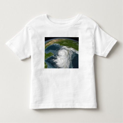 Hurricane Dennis 3 Toddler T_shirt