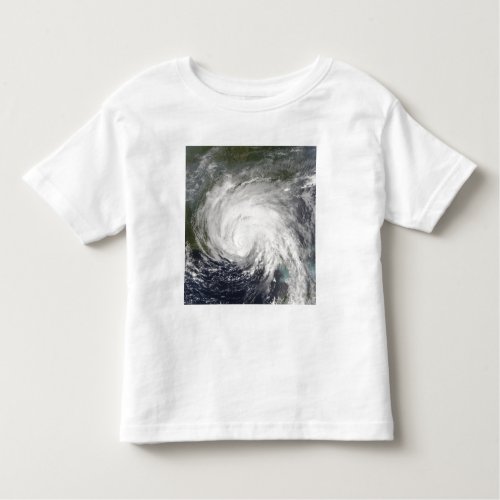 Hurricane Dennis Toddler T_shirt