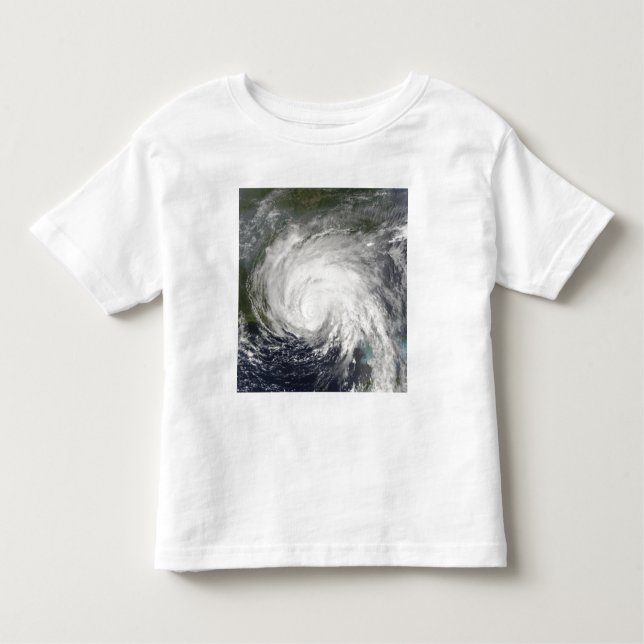 Hurricane Dennis Toddler T-shirt (Front)