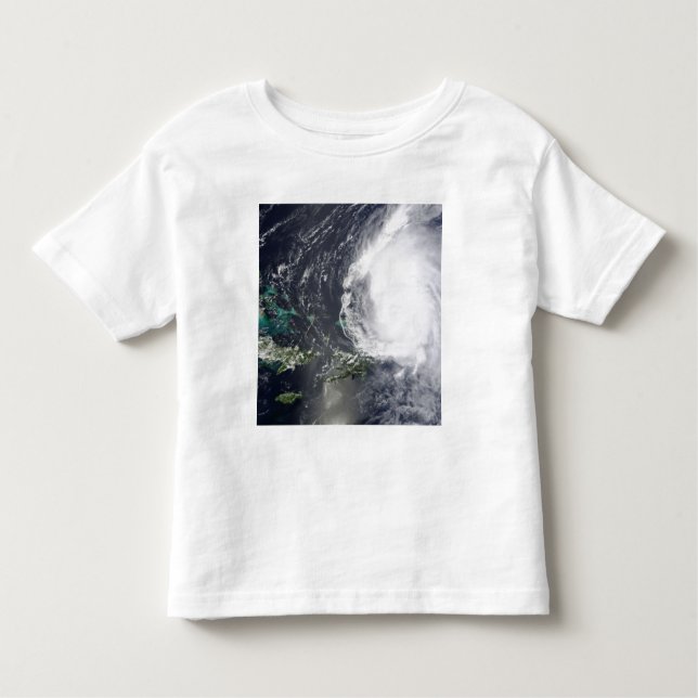 Hurricane Earl 2 Toddler T-shirt (Front)