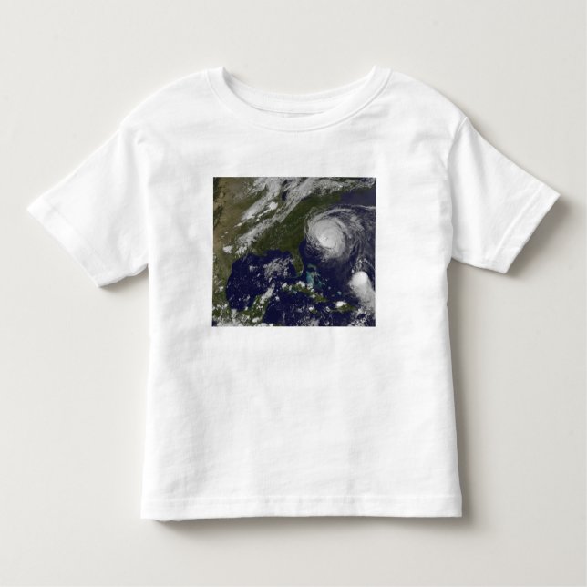 Hurricane Earl 4 Toddler T-shirt (Front)