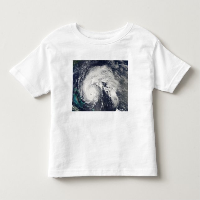 Hurricane Earl 5 Toddler T-shirt (Front)