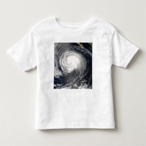 Hurricane Fausto Toddler T_shirt