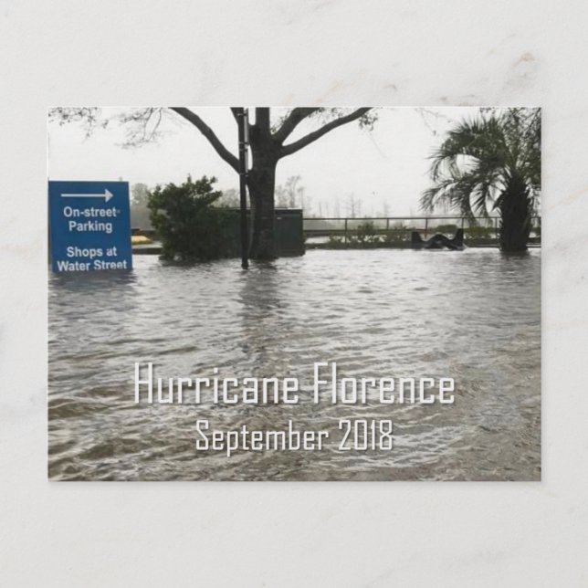Hurricane Florence Wilmington NC Postcard (Front)