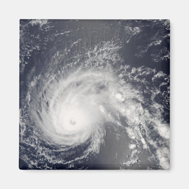 Hurricane Flossie Magnet (Front)