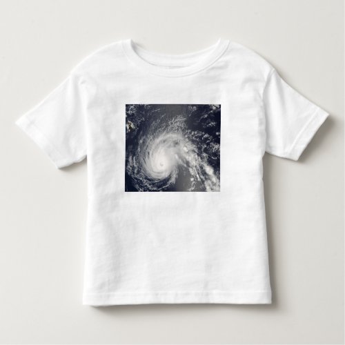 Hurricane Flossie Toddler T_shirt