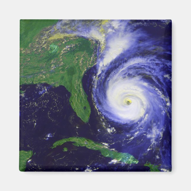 Hurricane Fran Magnet (Front)