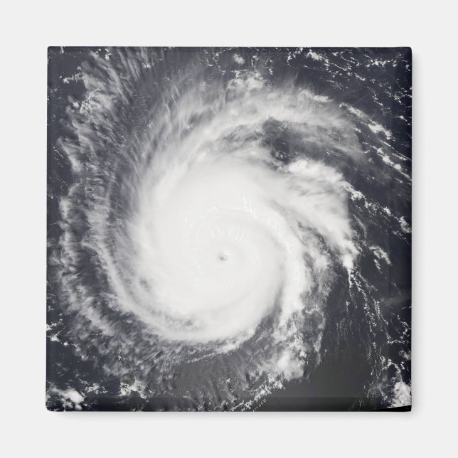Hurricane Frances Magnet (Front)