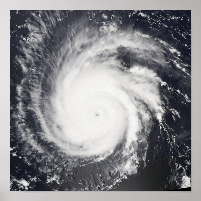 Hurricane Frances Poster (Front)