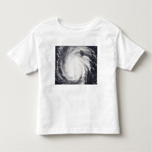 Hurricane Frances Toddler T_shirt